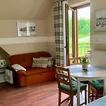 Goscinne Zlote Modrzewie 3* دوشنيكي زدروي