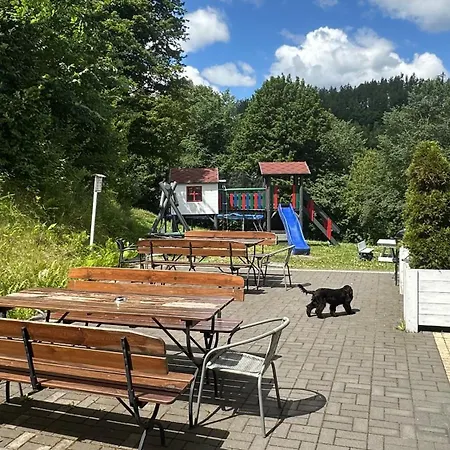 بيت ضيافة Goscinne Zlote Modrzewie دوشنيكي زدروي