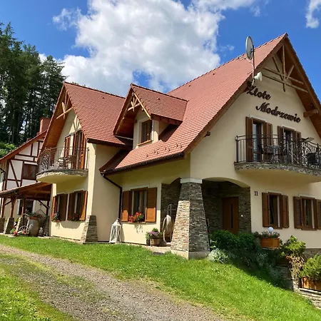 Goscinne Zlote Modrzewie دوشنيكي زدروي