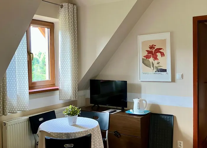 Goscinne Zlote Modrzewie Guest house